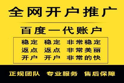 竞价广告投放技巧与案例分析