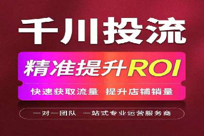电商成功案例：竞价推广助力品牌崛起